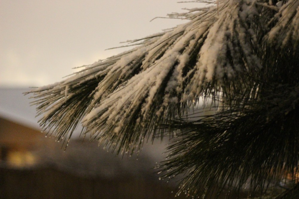 Night Shot No Flash Winter Storm Pax 2014