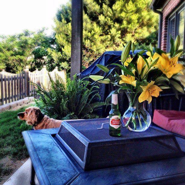 Beautiful Alabama Summer Day