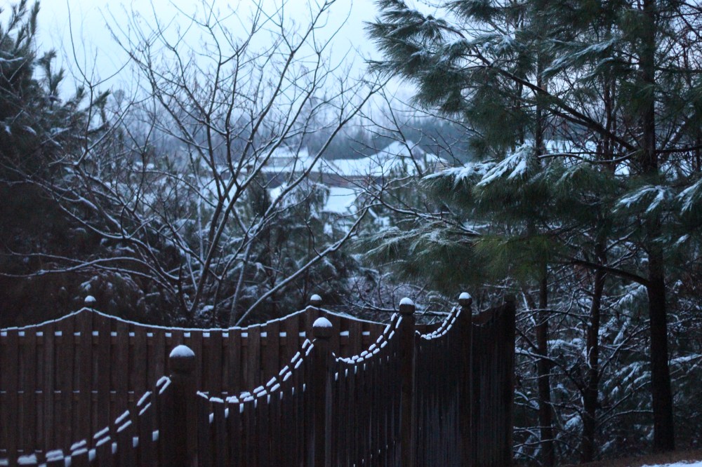 Snow Storm Pax, Sunrise 2/13/14