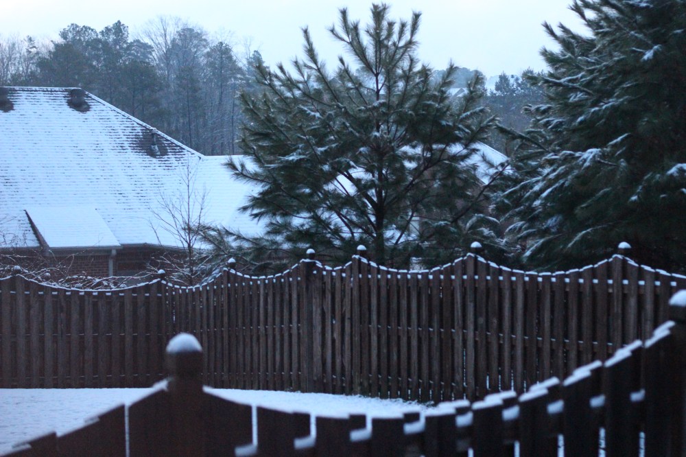 Snow Storm Pax, Sunrise 2/13/14