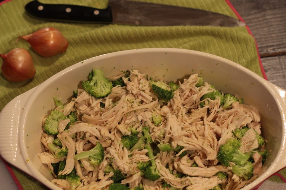 Boiled Broccoli & Chicken